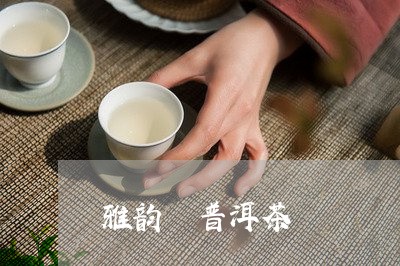 雅韵 普洱茶/2023042877912